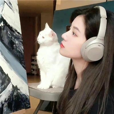 情迷佳人